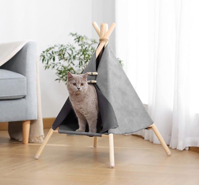 Home Marketplace2 37 hotspot-carusel-cat-tent-opt-opt